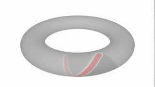 Celebrity Reaction-diffusion wave nucleation failure on a torus -- a migraine model. Profile
