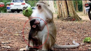 Mum still uses the same way to baby/ stingy new baby youlike monkey
1118