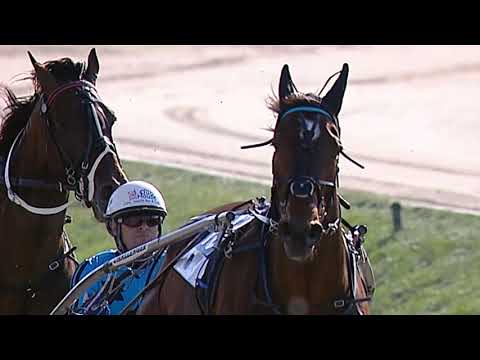Capa de Changeover wins 2008 New Zealand Cup
