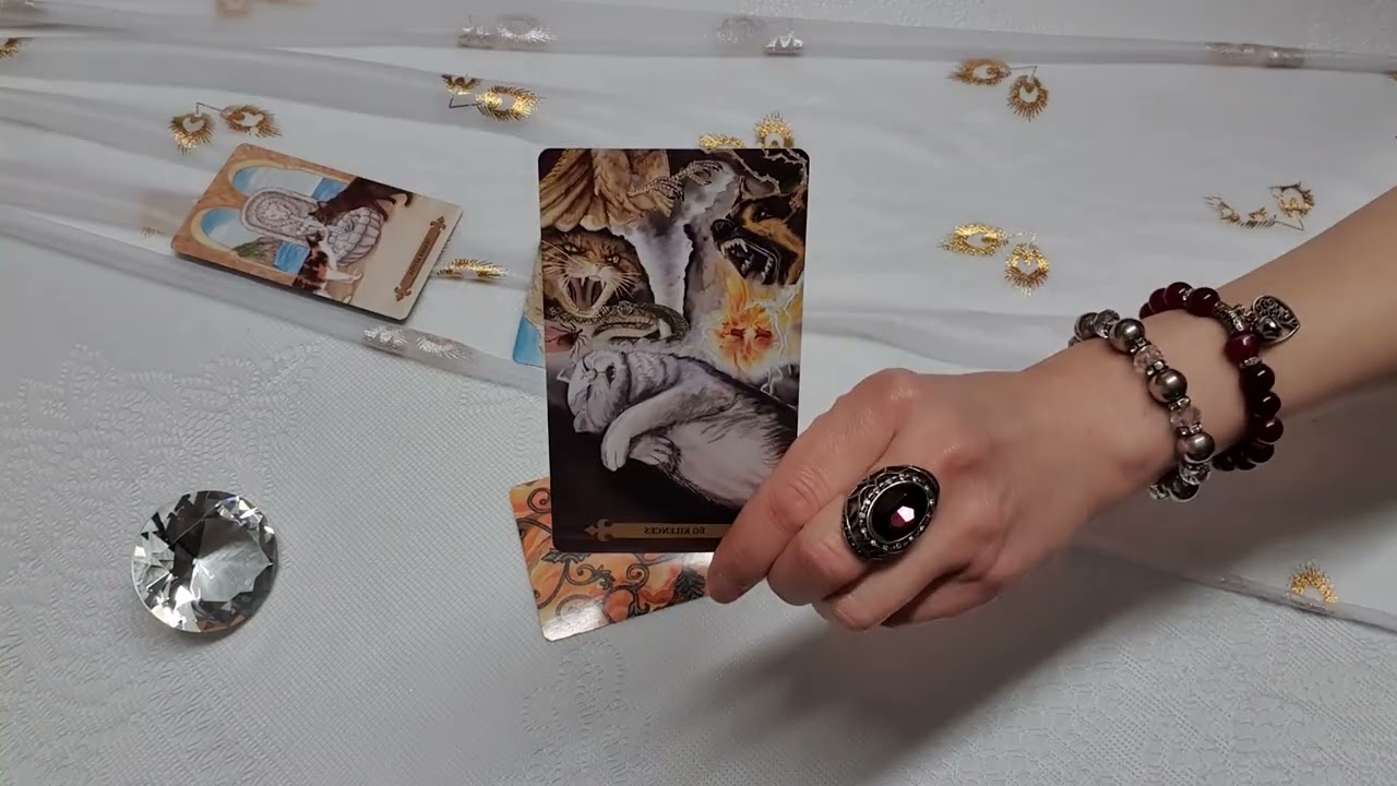 Üzenet & Tanács: 2026. 03. 04. 