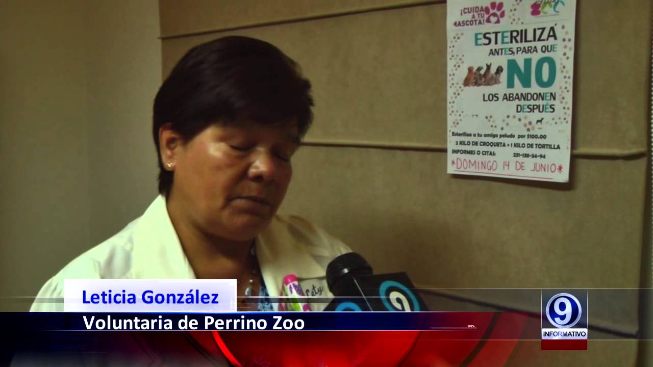 Christmas Black Tie Ball