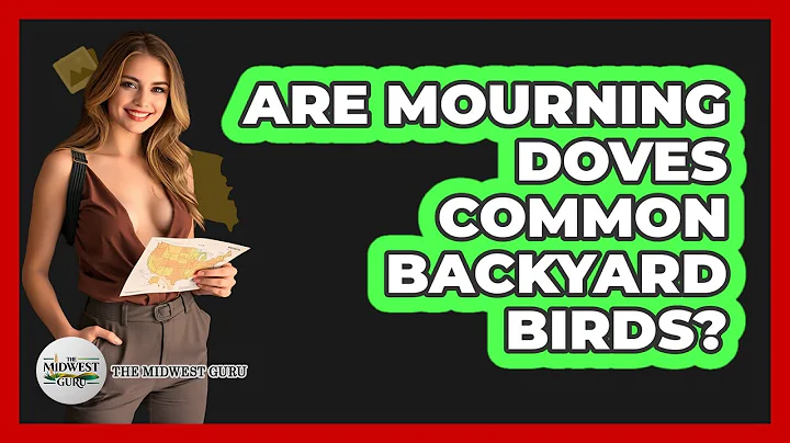 Are Mourning Doves Common Backyard Birds?