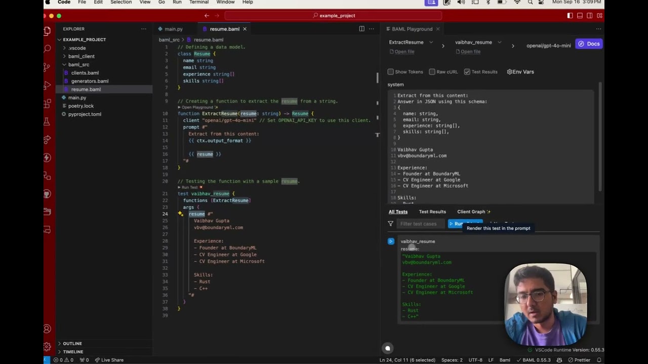 Setting up BAML with Python