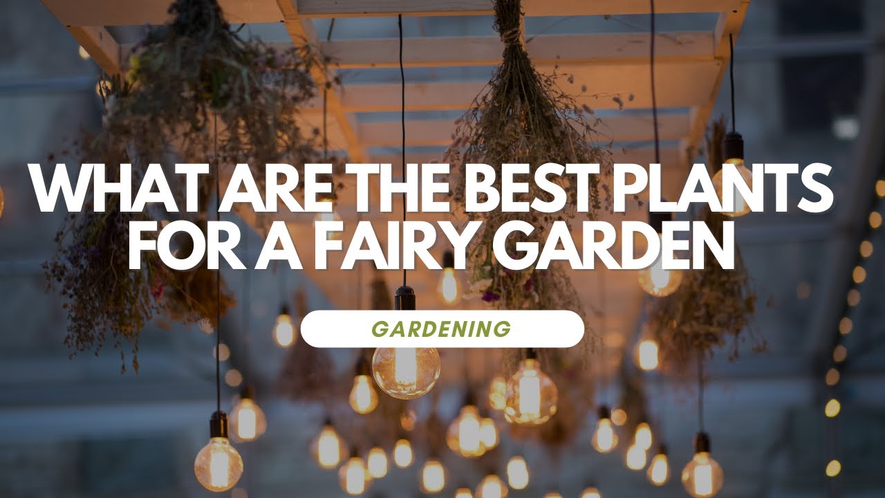 What Are The Best Plants For A Fairy Garden