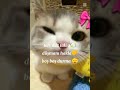 boş boş durma videomu layklaa