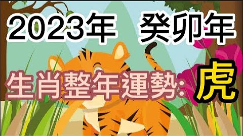 古柏論命 -  2023年癸卯年生肖整年運勢分享 – 虎 - 天天要聞