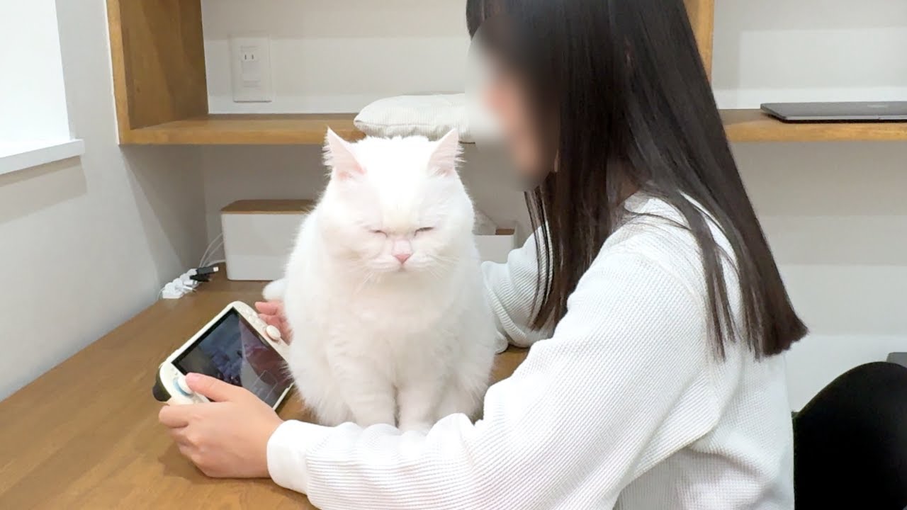 妹のゲームをやめさせる天才的な方法（物理）