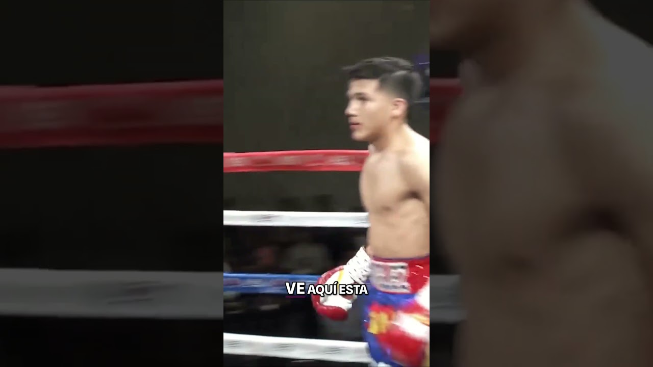 Bam Rodriguez wins his second fight with a good prediction for his career