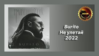 🎧 Новая песня Burito - Не улетай (Новинка 2022)