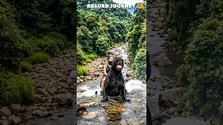 ALIPBATA ADVENTURE #shorts #alip_ba_ta #music #song #alipbata #trending #blackpanther #gorilla