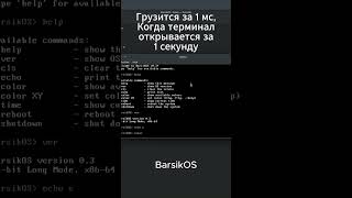 BarsikOS против Windows: скорость загрузки #shorts #windows #linux