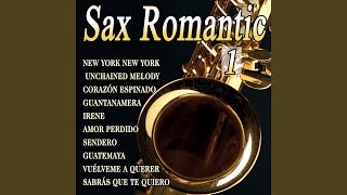 Video thumbnail of "Magic Sax - New York New York (Instrumental Sax)"