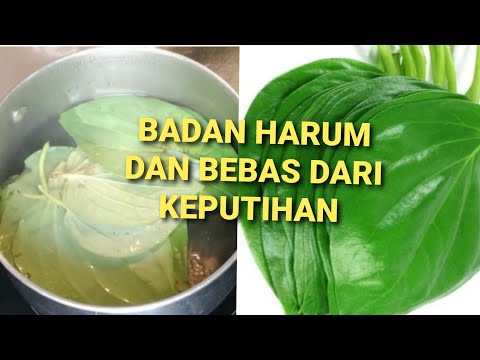 Video kali ini tentang air galon dan air rebuan dari keran, mana yang lebih sehat? Dari mana sumber . 