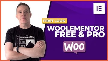 Woolementor Free & Pro - The BEST WooCommerce Customiser???
