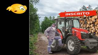 Entre A Lenha E A Estrada