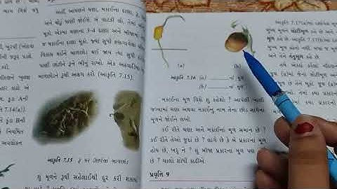 STD 6 SCIENCE CH-7 ( વનસ્પતિની જાણકારી મેળવીએ ) ( PART-2 )