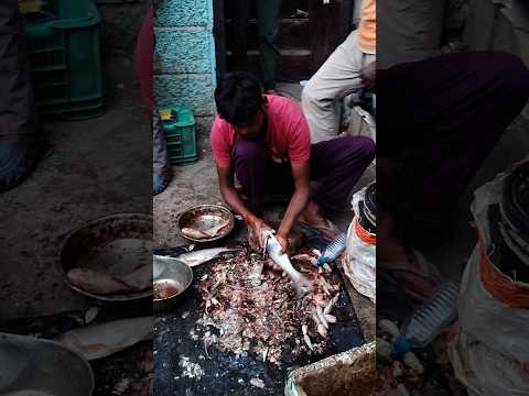 fish market#sort #viralvideo #funny #video #sort #vilook#vairelsort #inda #🥰🥰🥰🥰🥰