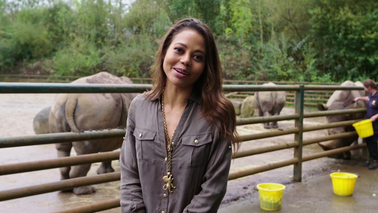 Conserving the Southern White Rhino