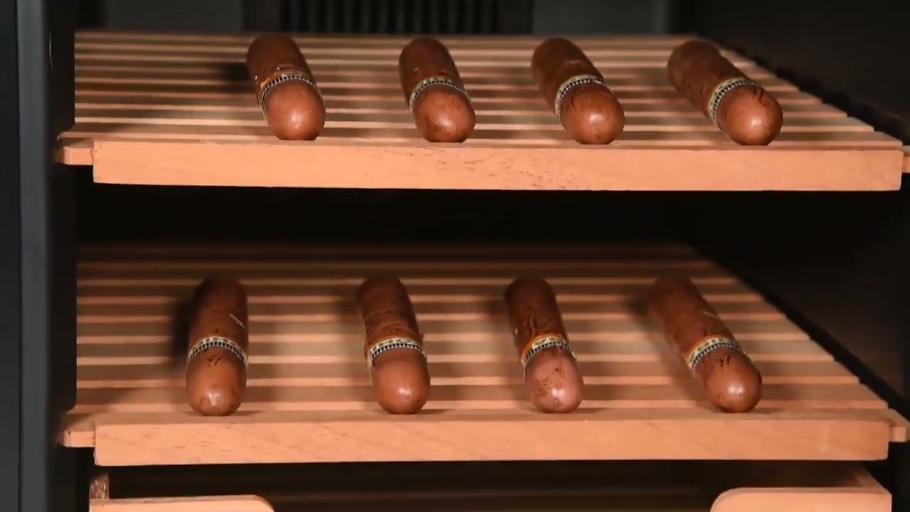 BCC-33A(AH) Low-Noise Thermoelectric Cigar Humidor: 302-Count Capacity + Customizable Design