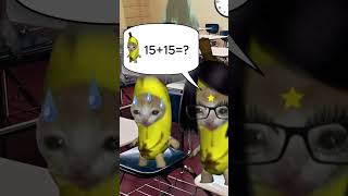 Banana Cat And Happy Cat School Day Part 21 #catmemes #bananacat #elgato