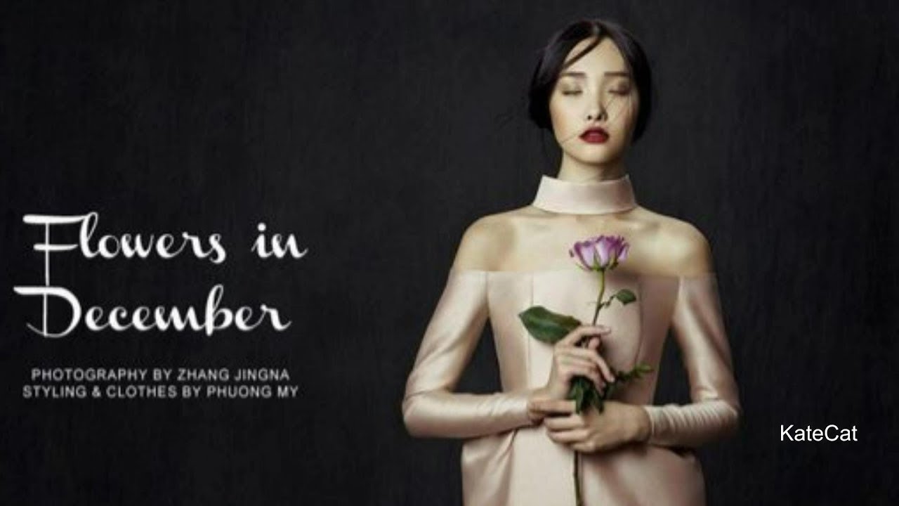 Mazzy Star Flowers In December YouTube