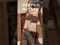 グミ板チョコ作ってもろた #Shorts #板チョコ #グミ