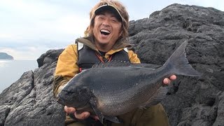 PEACE THE MOVIE #17「情熱の舞台沖の島 巨大オナガをもとめて