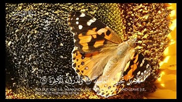 لا أقسم بيوم القيامة  سورة القيامة كاملة  القارئ سلمان عبيد المطيري