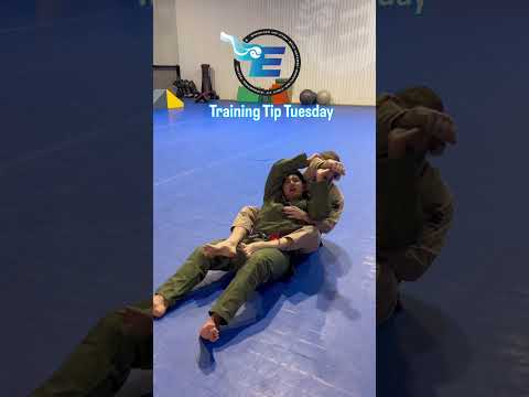 Training Tip Tuesday
