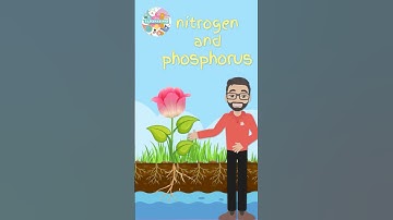 This Fascinating Fact About Soil