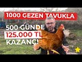 LOHMAN MI ATAKS MI | 1000 GEZEN TAVUK KAÇ PARA KAZANDIRIR | KÖY HAYATI  #hayvancılık #tavuk #yumurta