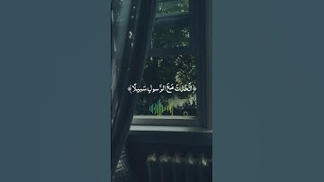 ويوم يعض الظالم على يديه| #youtube #explore #اكسبلور #تلاوة_خاشعة #قرآن #صلى_الله_عليه_وسلم #short