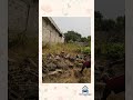 Terrain en vente à Akato – 12.5 millions FCFA