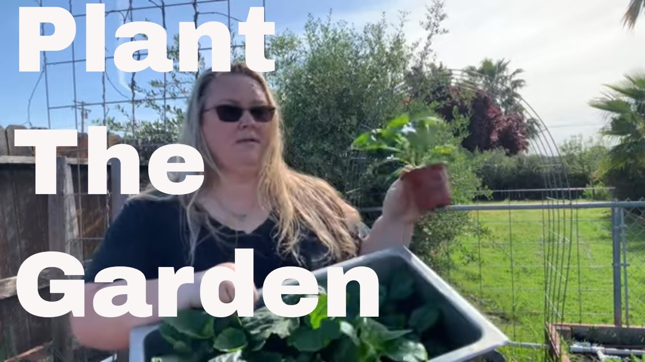 Planting the spring 2023 garden 