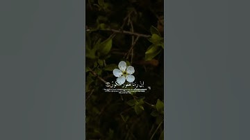 #ماهر_المعيقلي ||سورة فاطر || وَقَالُوا الْحَمْدُ لِلَّهِ الَّذِي أَذْهَبَ عَنَّا الْحَزَنَ ۖ 