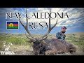 8 rusa deer hunts in 6 minutes from new caledonia