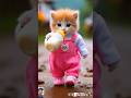 Dudi Dudi Dum Dum Cat Cute Love Hrase Follow Shortsfeed Dudidudidam Catshorts Shorts Dudi Dudi Dum Dum Cat Cute Love Hrase Follow Shortsfeed Dudidudidam Catshorts Shorts