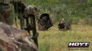 Turkey Hunting: Secret Decoy Tricks That Drive Gobblers Insane