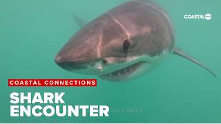 'Coastal Connections' spends time on -- and in -- the water screenshot 3