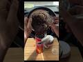 Viral Pringles Hack #asmr #food #satisfying #viral #foodie #chocolate