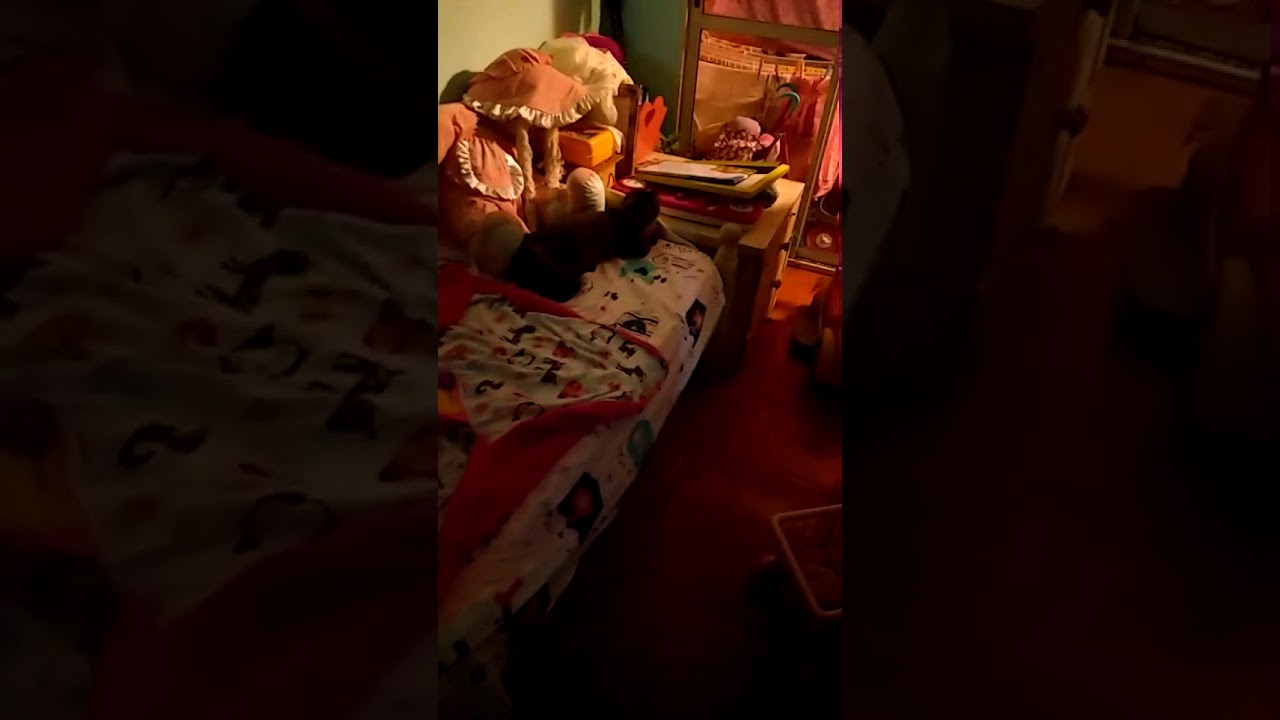 Pruebas reales de actividad paranormal. Real paranormal activity