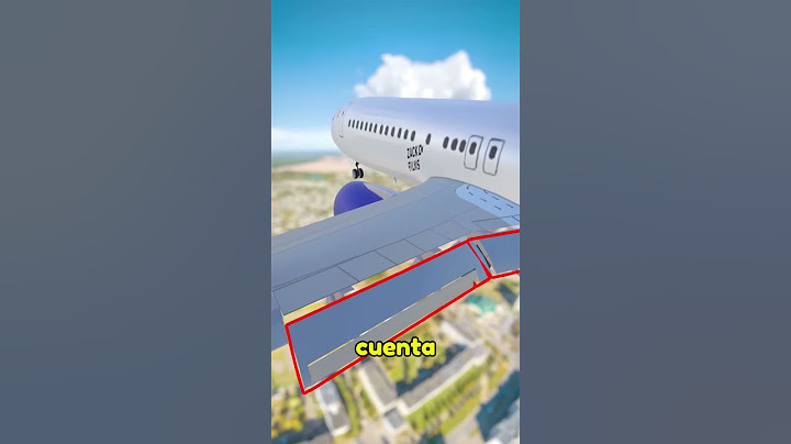 Piloto Se Desmaya y Pasajero Aterriza Un Avión