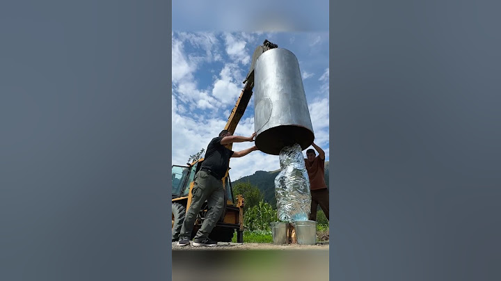 Roasting a Whole GIANT Ostrich in the Wild –  No Kitchen, No Problem 🔥