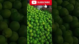 Batasingaram fruit market Hyderabad #everyone #highlights #mango #fruit #agriculture 🔥🍑🥭😱😭