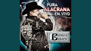 Consulado Privado (Live)