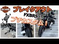 【ブレイクアウト】プチカスタム～スマホホルダー、スモークウィンカー、フットペグ交換！～