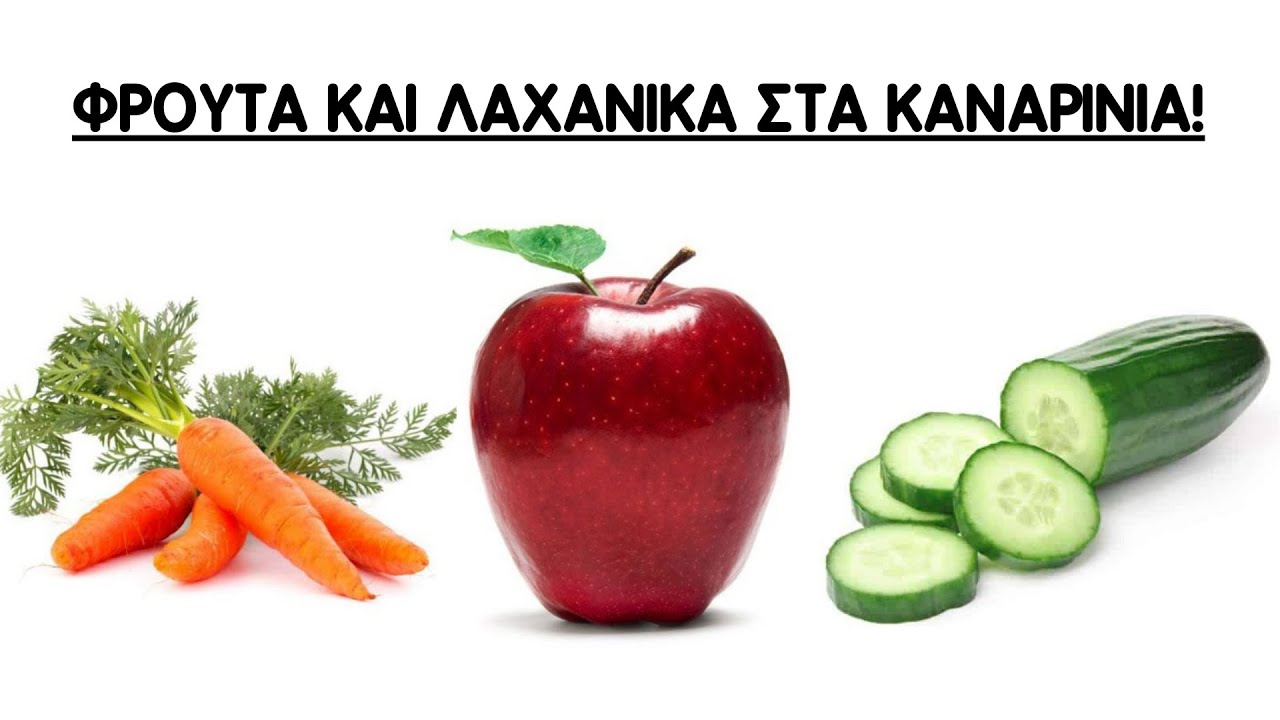 γιατι