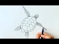 How to draw a turtle