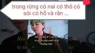 trong rừng có nai có thỏ có sói có hỗ và rắn... Yan Ngô Ráp dậu đổ bìm leo Tiktok Hot Trend cover