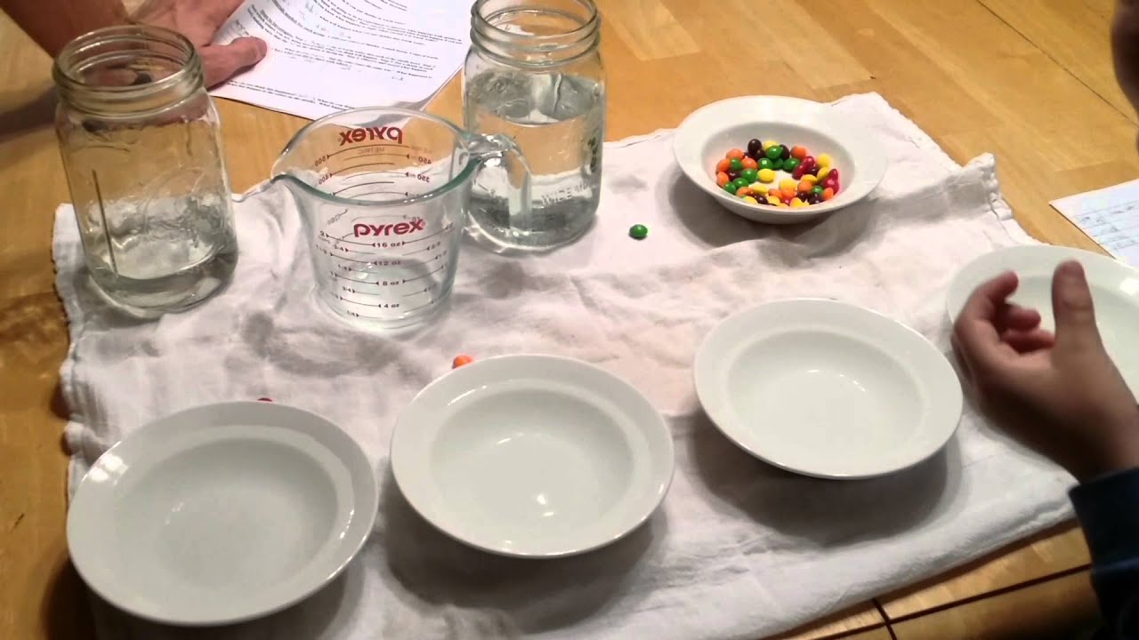 Science experiment - YouTube